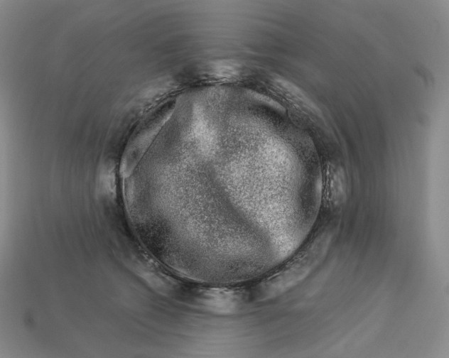 X0000112900562200910021437