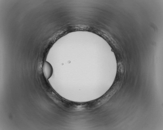 X0000112900564200910021437