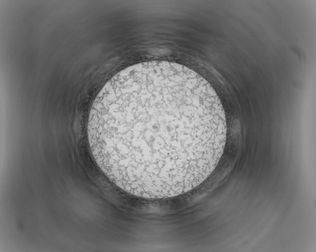 X0000112900565200910021437