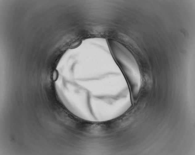 X0000112900566200910021437