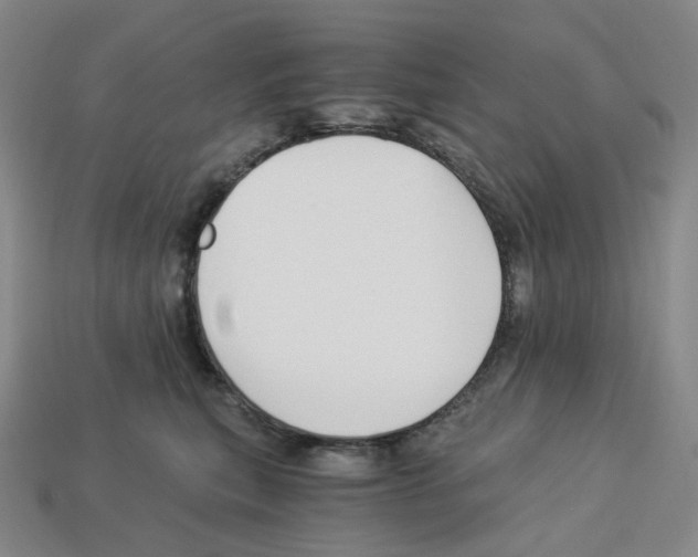 X0000112900567200910021437