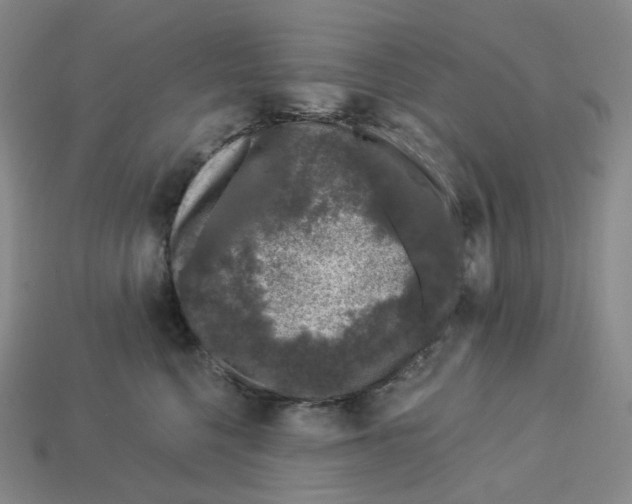 X0000112900568200910021437