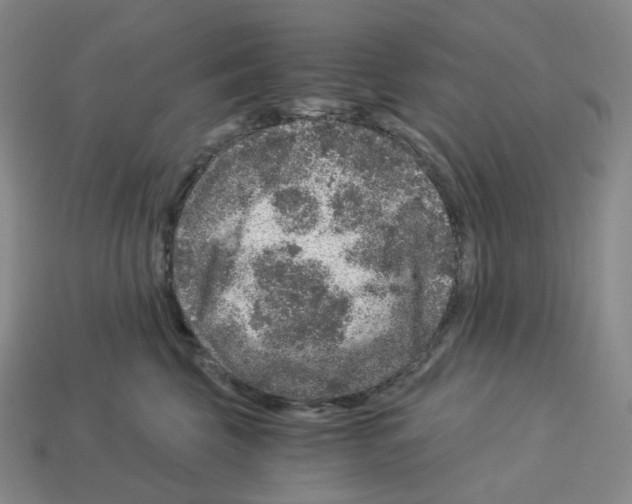 X0000112900569200910021437