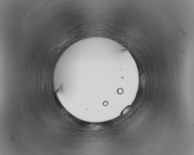 X0000112900570200910021437