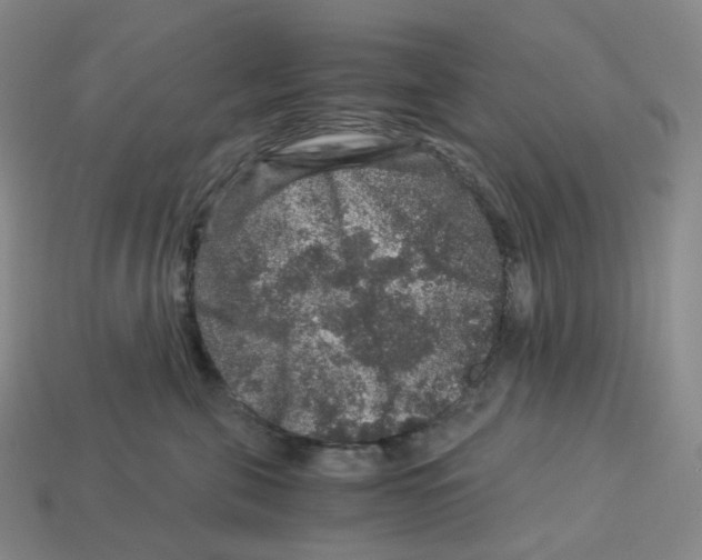X0000112900571200910021437