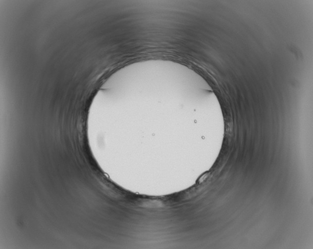 X0000112900572200910021437