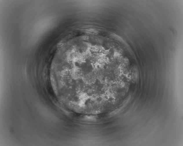 X0000112900573200910021437