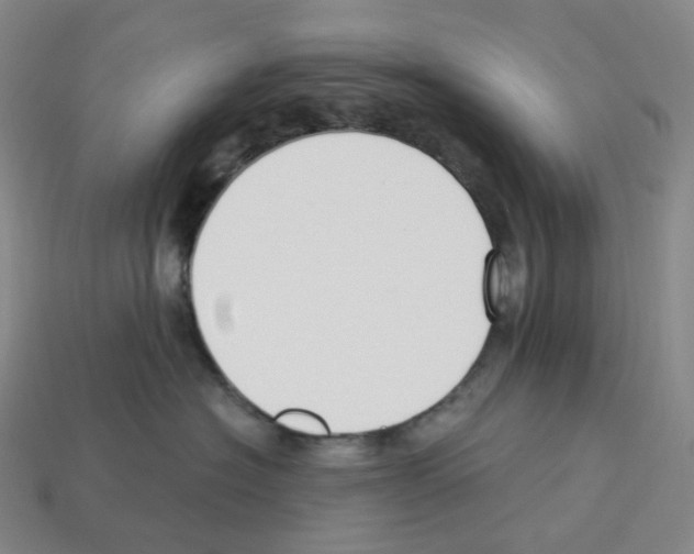 X0000112900574200910021437