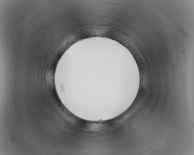 X0000112900575200910021437