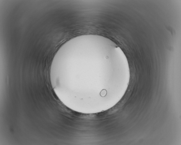 X0000112900576200910021437