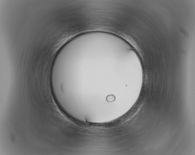 X0000112900577200910021436