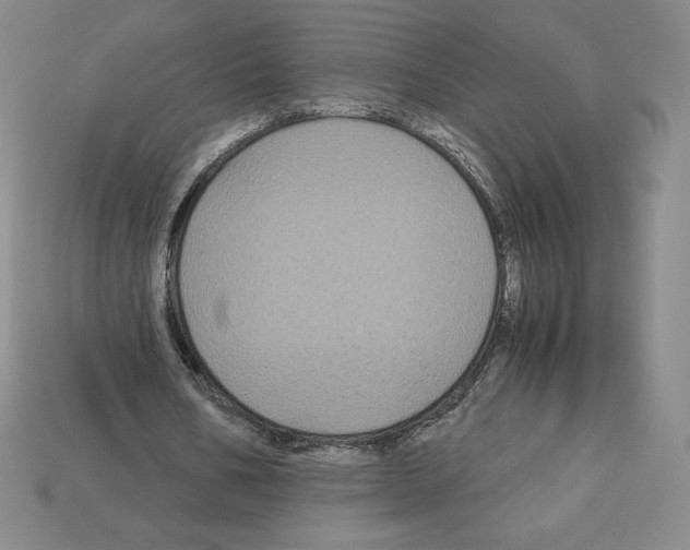 X0000112900578200910021436