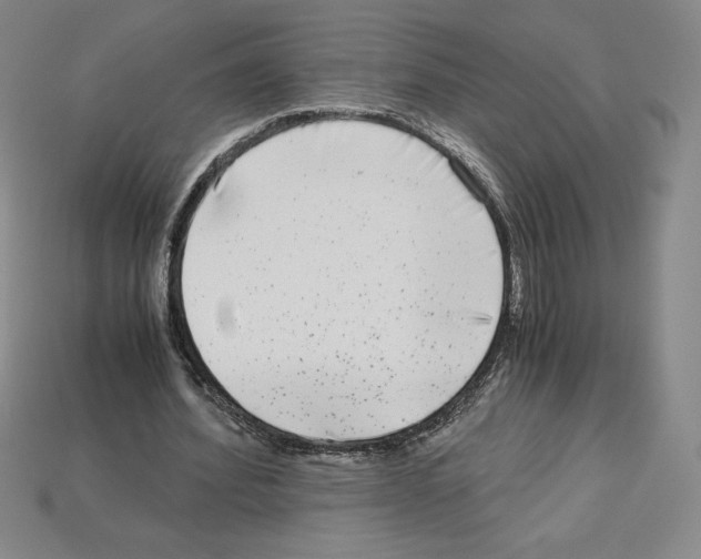 X0000112900580200910021436
