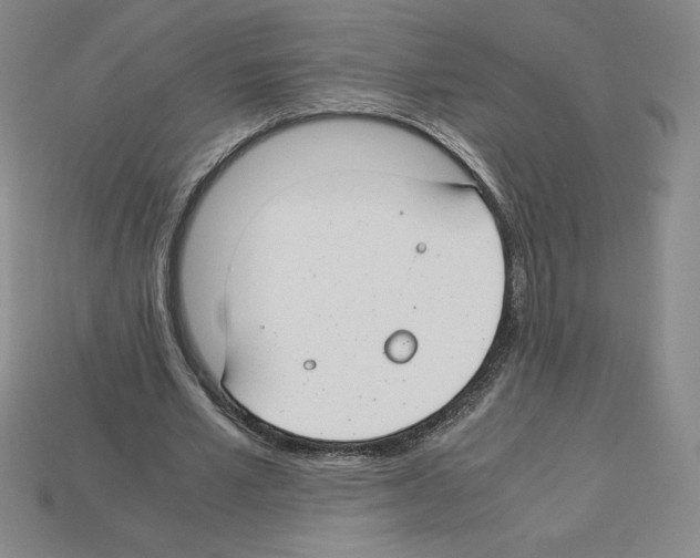 X0000112900581200910021436