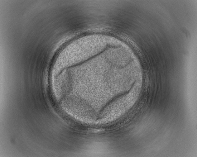 X0000112900582200910021436