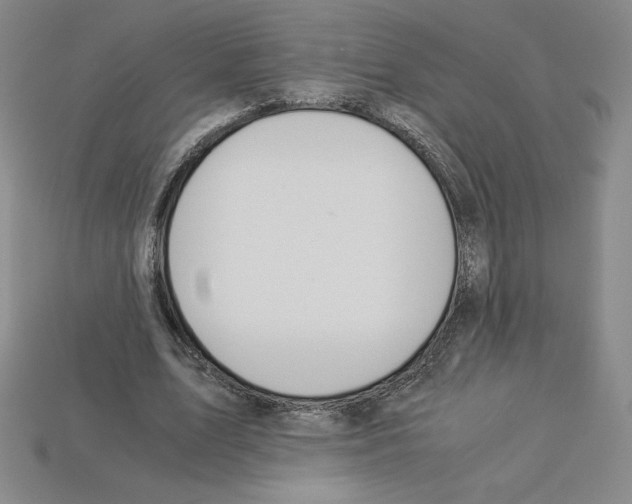 X0000112900583200910021436
