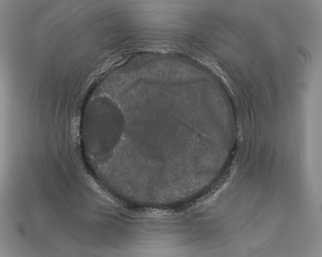 X0000112900585200910021436