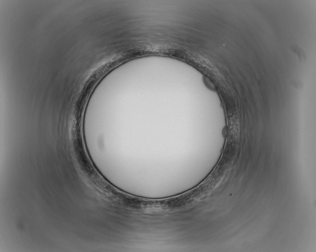 X0000112900587200910021436