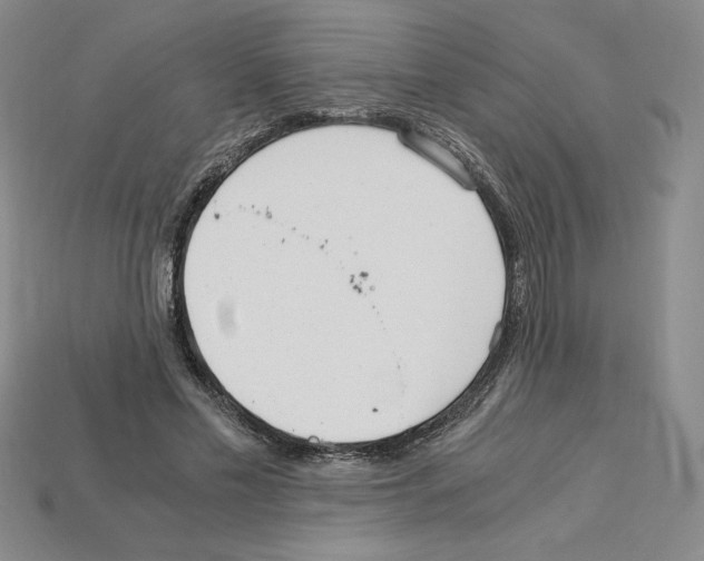 X0000112900589200910021436