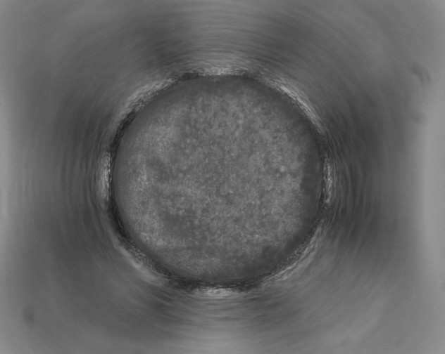 X0000112900590200910021436