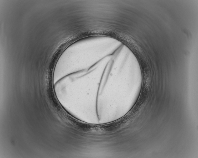 X0000112900591200910021436