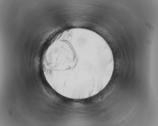 X0000112900592200910021436