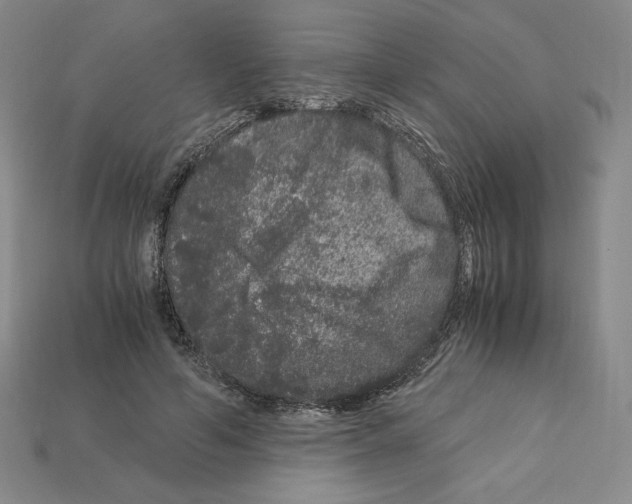 X0000112900594200910021436