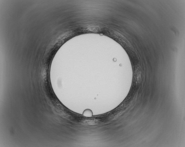 X0000112900595200910021436