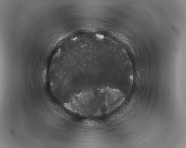 X0000112900596200910021436