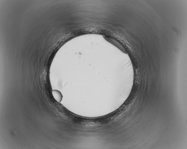 X0000112900597200910021436