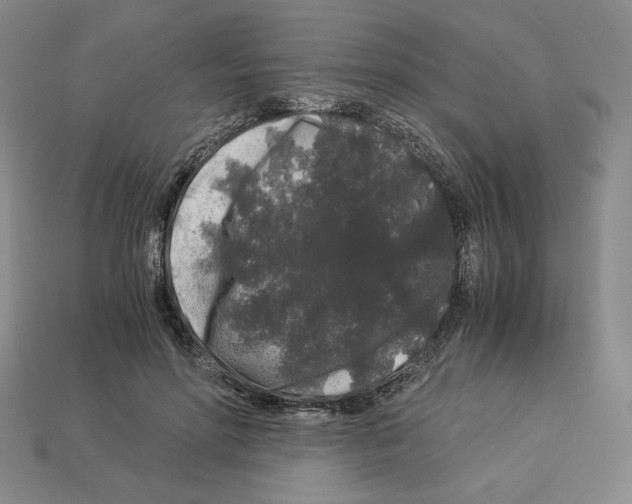 X0000112900598200910021436