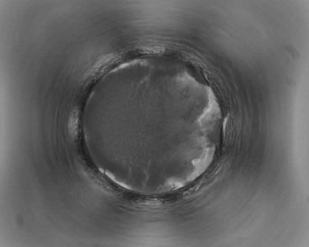 X0000112900600200910021436