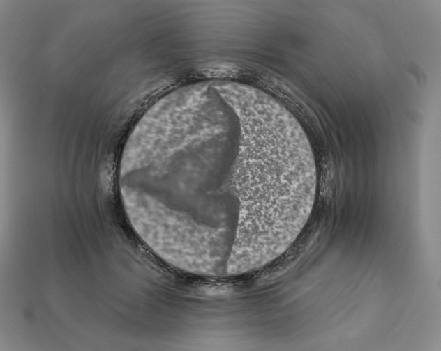X0000112900604200910021436