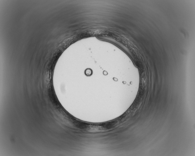 X0000112900605200910021436