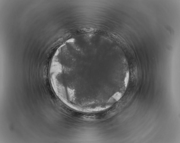 X0000112900606200910021436