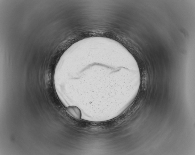 X0000112900608200910021436