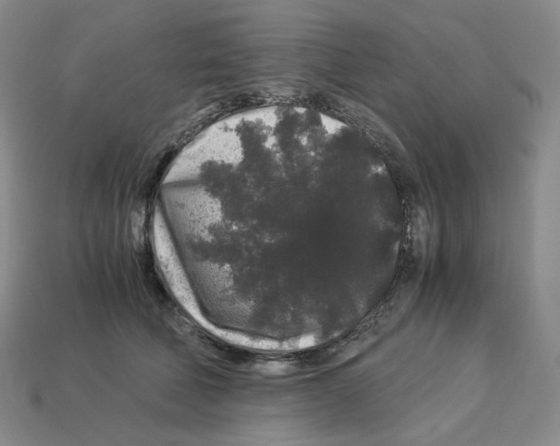 X0000112900610200910021436