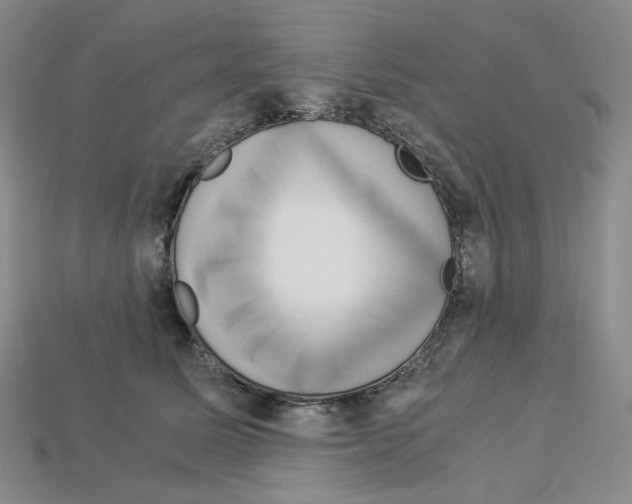 X0000112900611200910021436