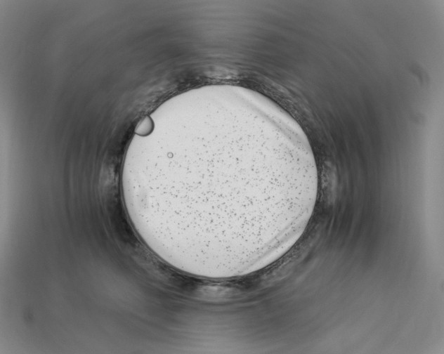 X0000112900614200910021436