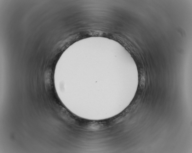 X0000112900616200910021436