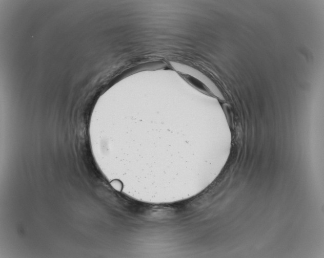 X0000112900617200910021436