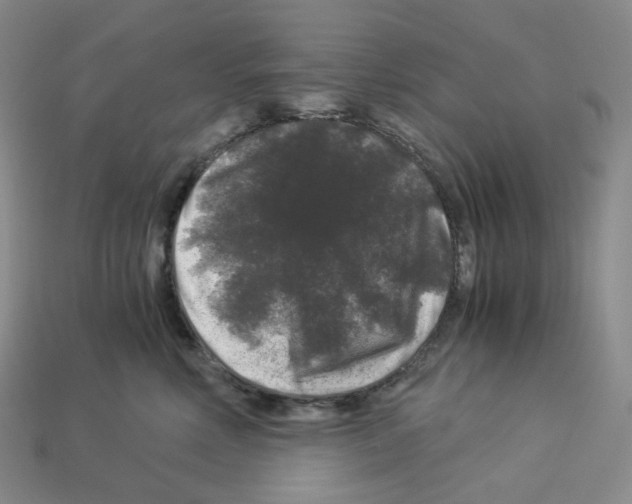 X0000112900618200910021436