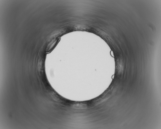 X0000112900619200910021436