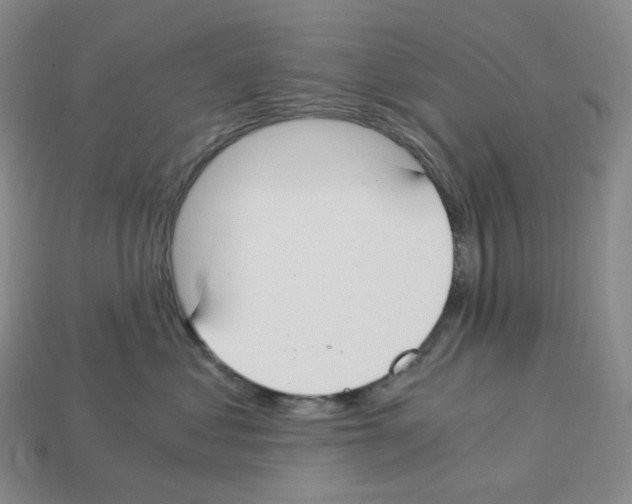 X0000112900621200910021436