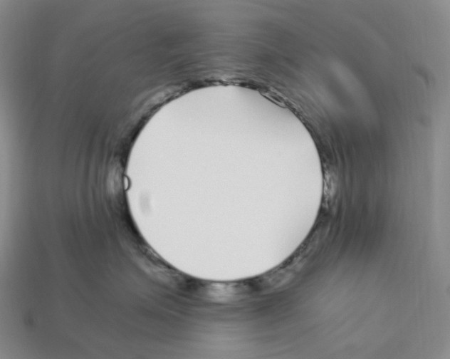 X0000112900623200910021436