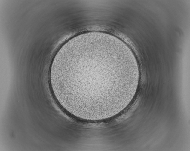X0000112900625200910021435