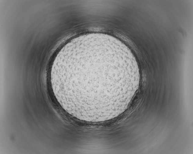 X0000112900626200910021435