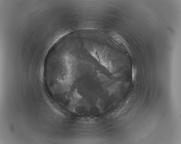 X0000112900627200910021435