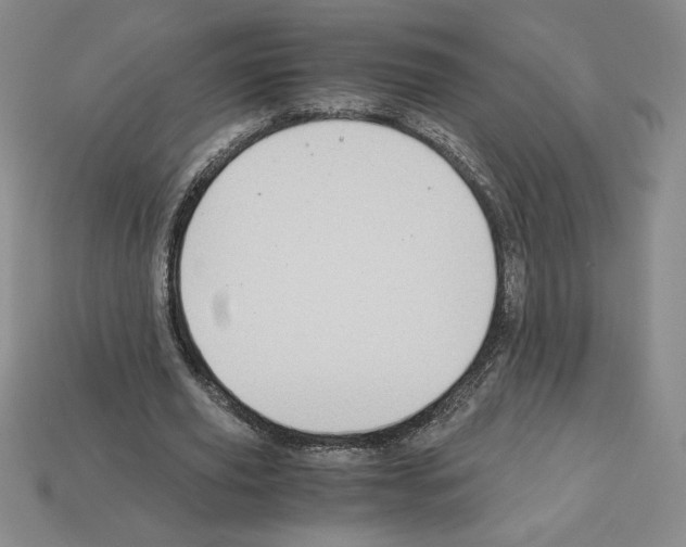 X0000112900629200910021435