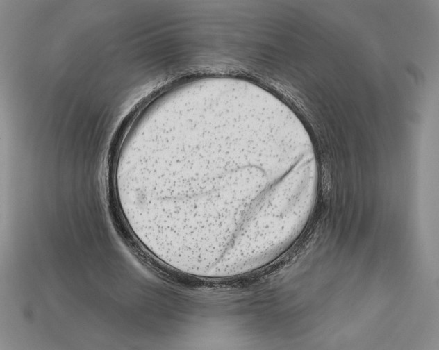 X0000112900630200910021435